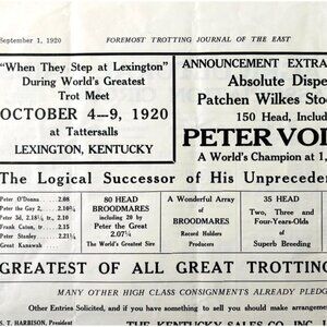 1920 Peter Volo Trotting Sale Horse Advertisement Lexington Kentucky Event DWYY9